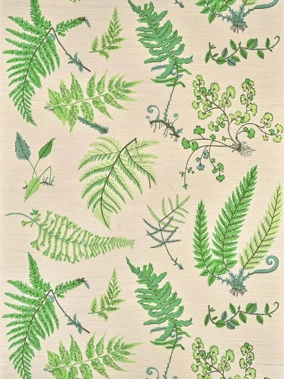 Botanique FP084002 - Printemps