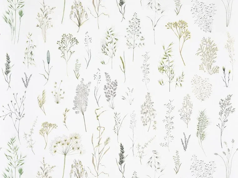 Les Graminees FP107001 - Herbe