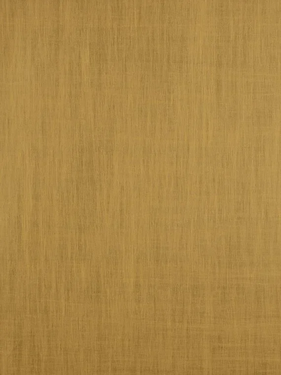 Nimes FP793017 - Vermeil