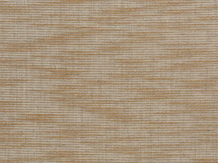 Erable FP460002 - Camel