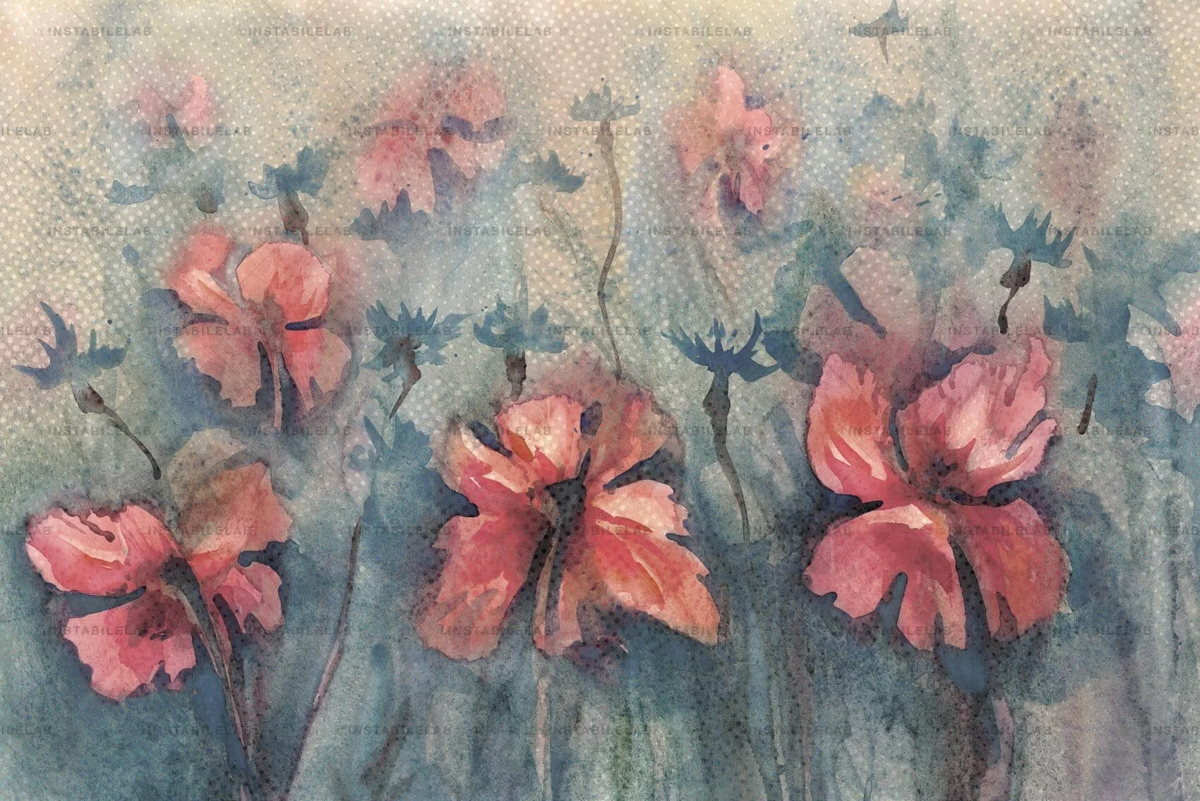 Poppies 01