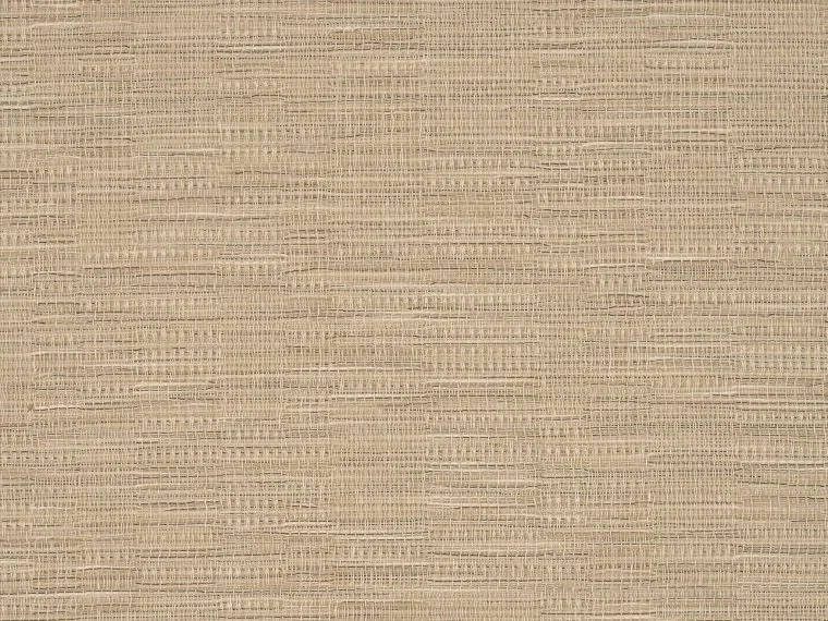 Sofia FP863003 - Craie