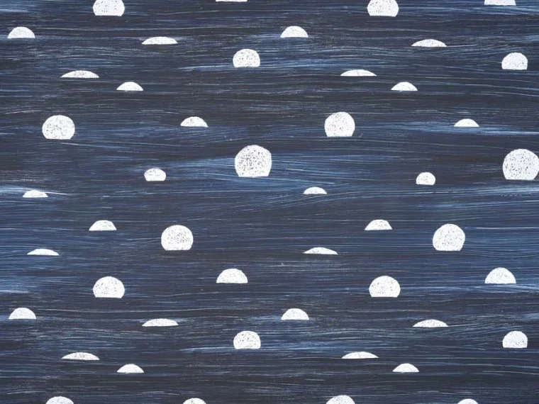 Belle Lune FP059002 - Nuit