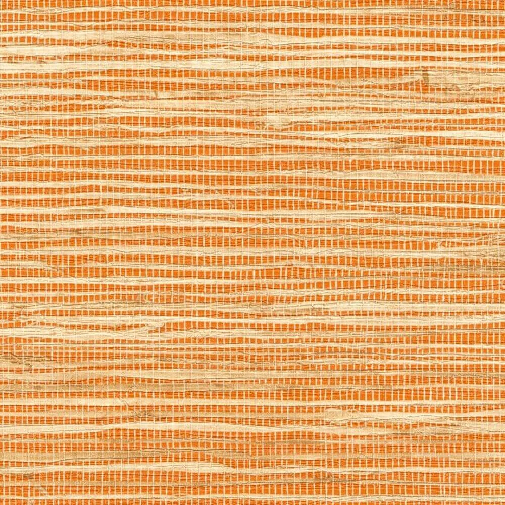 Arrowroot - Lueurs estivales