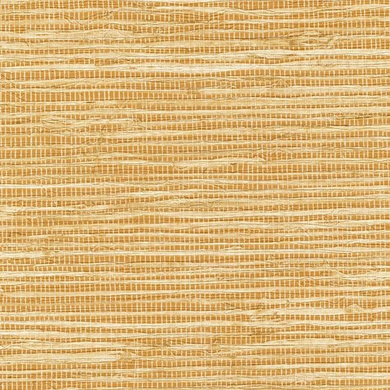 Arrowroot - Une force tranquille