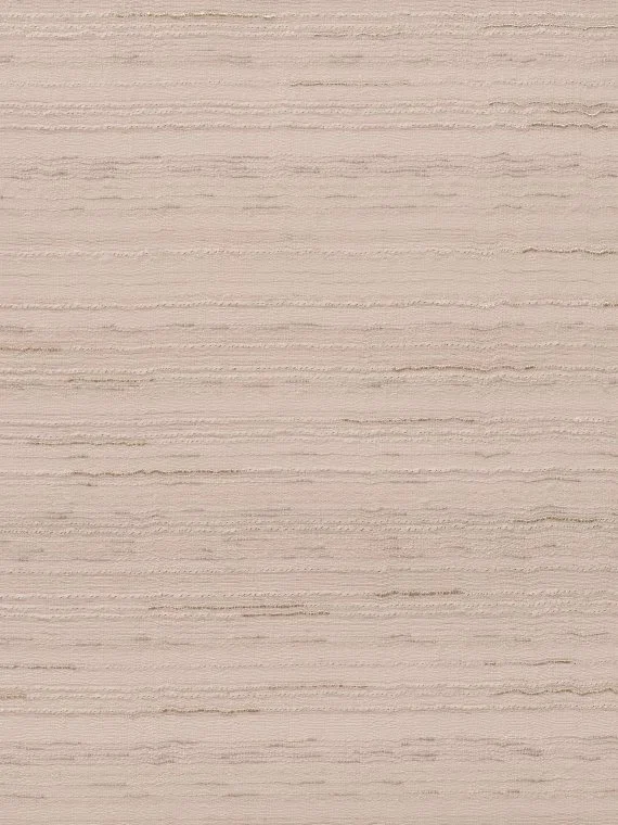 Ernesto FP648015 - Nelori