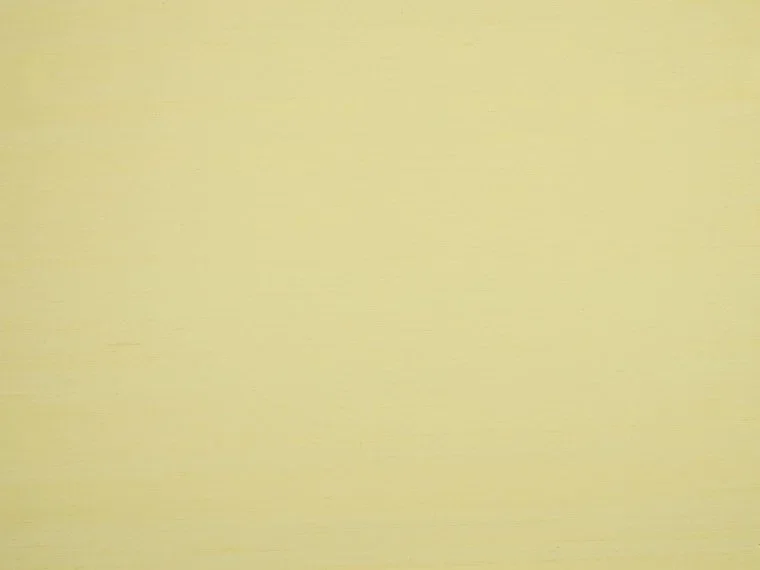 Shiva BP334020 - Citronnade