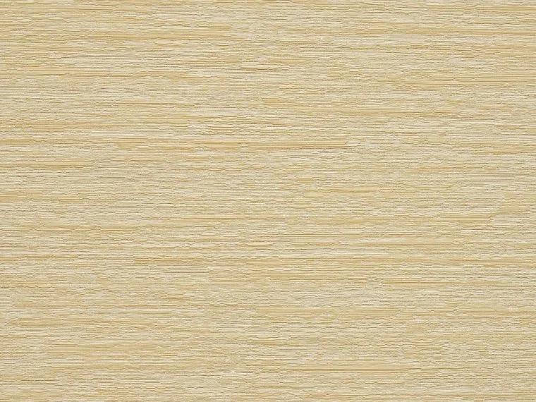 Carole FP924001 - Champagne