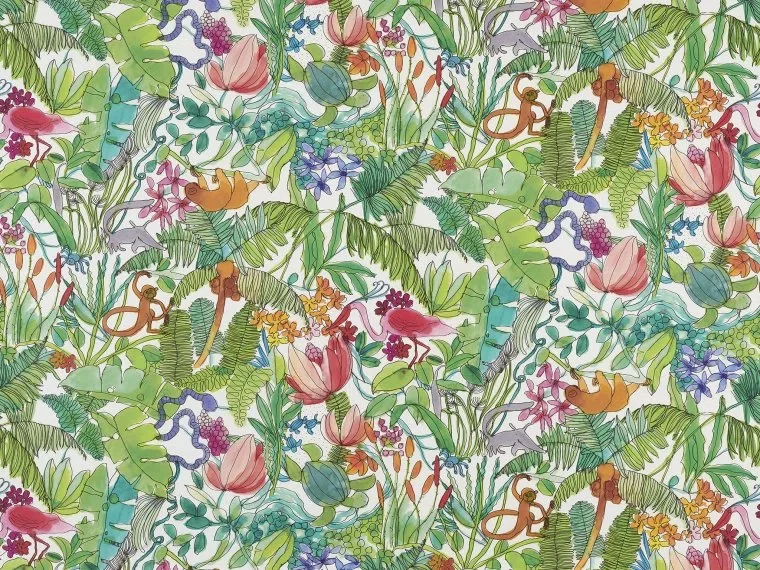 La Balade Du Paresseux FP826001