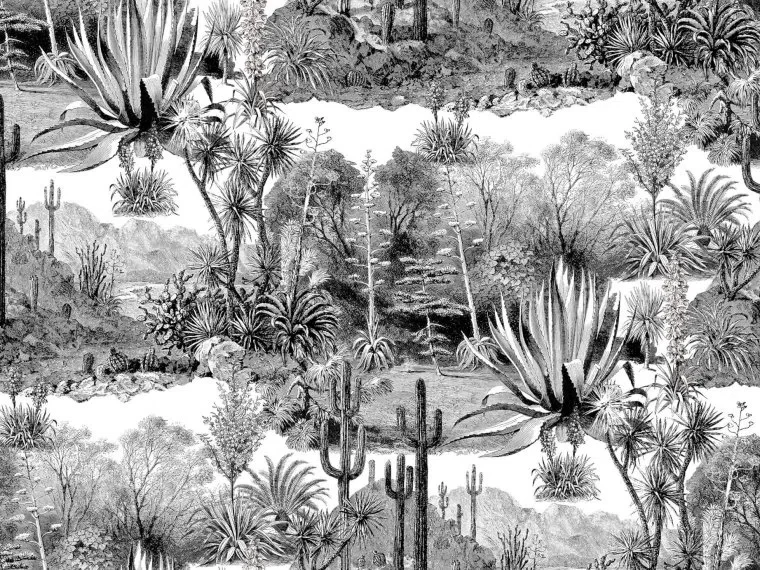 Pampa FP395001 - Jais