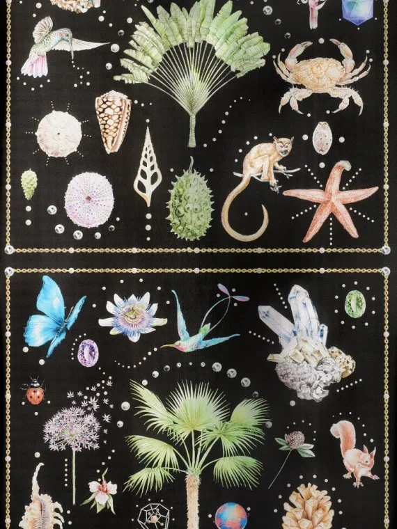 Curiosites FP589001 - Nocturne