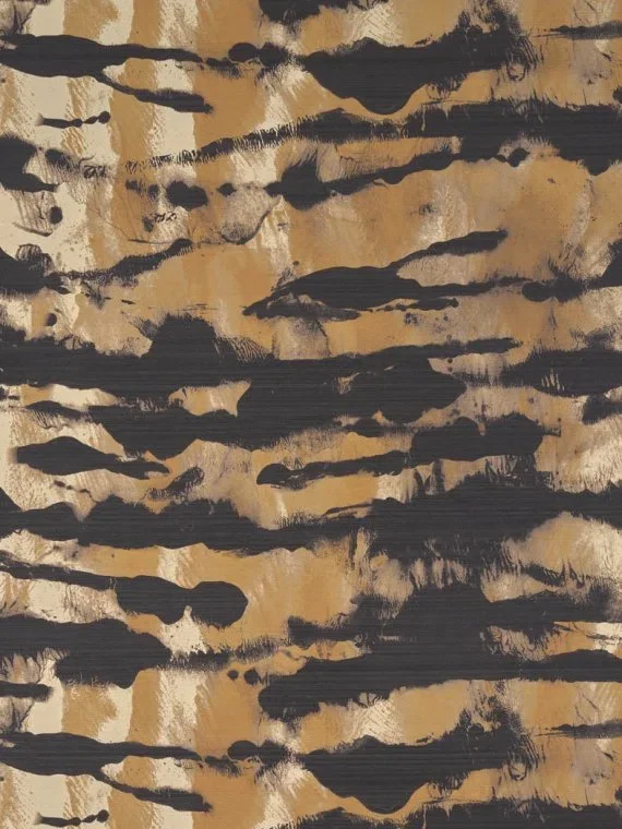 Tadoba FP066002 - Tigre