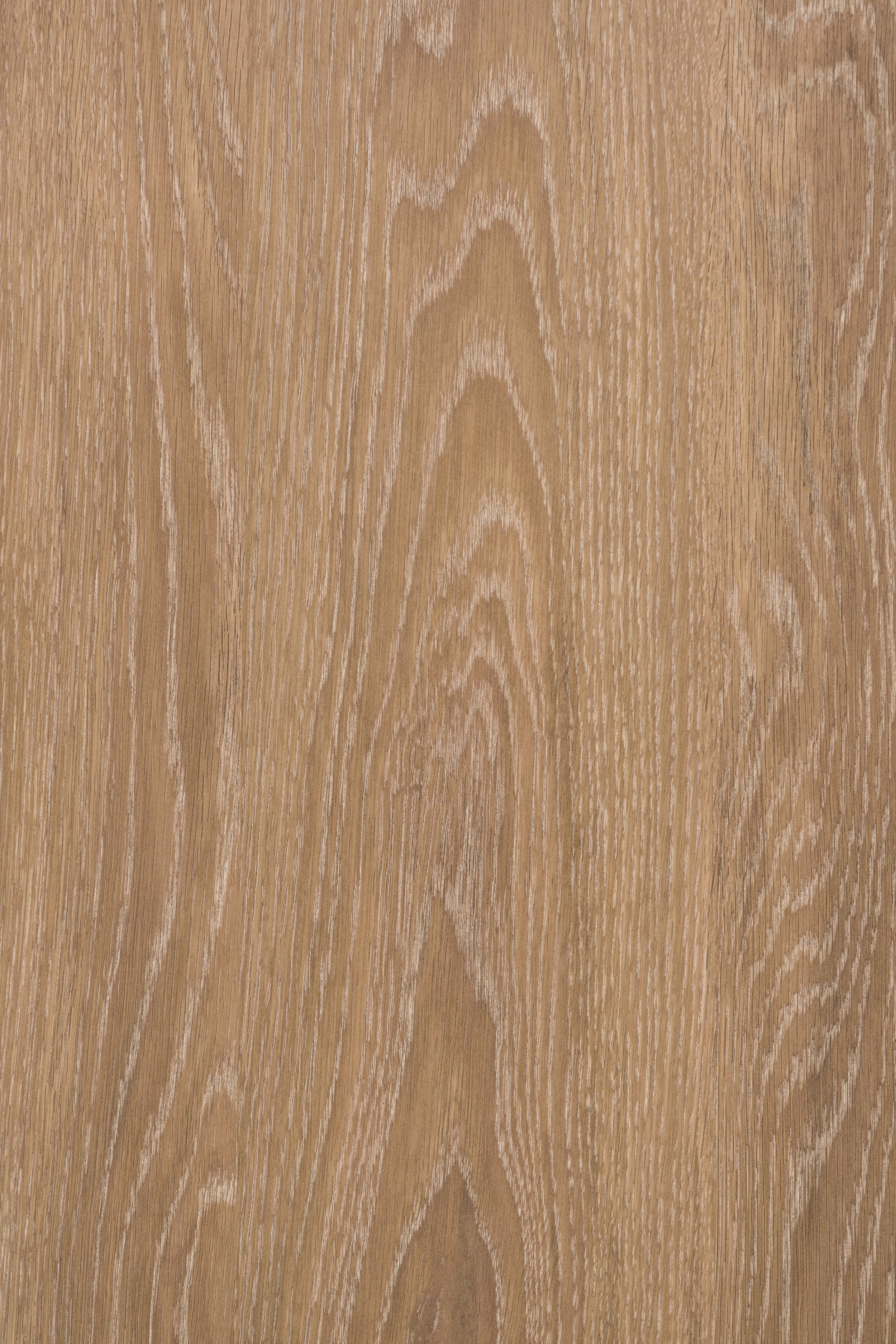 WDY-03-Detail.jpg
