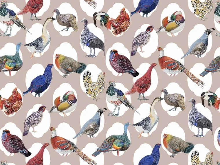 Haute cour FP437001 - Multicolore