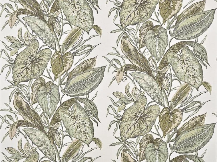 Nassau FP102001 - Agave