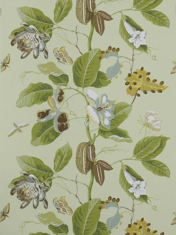 Wallpaper Nakai W4864006 - Pistacchio