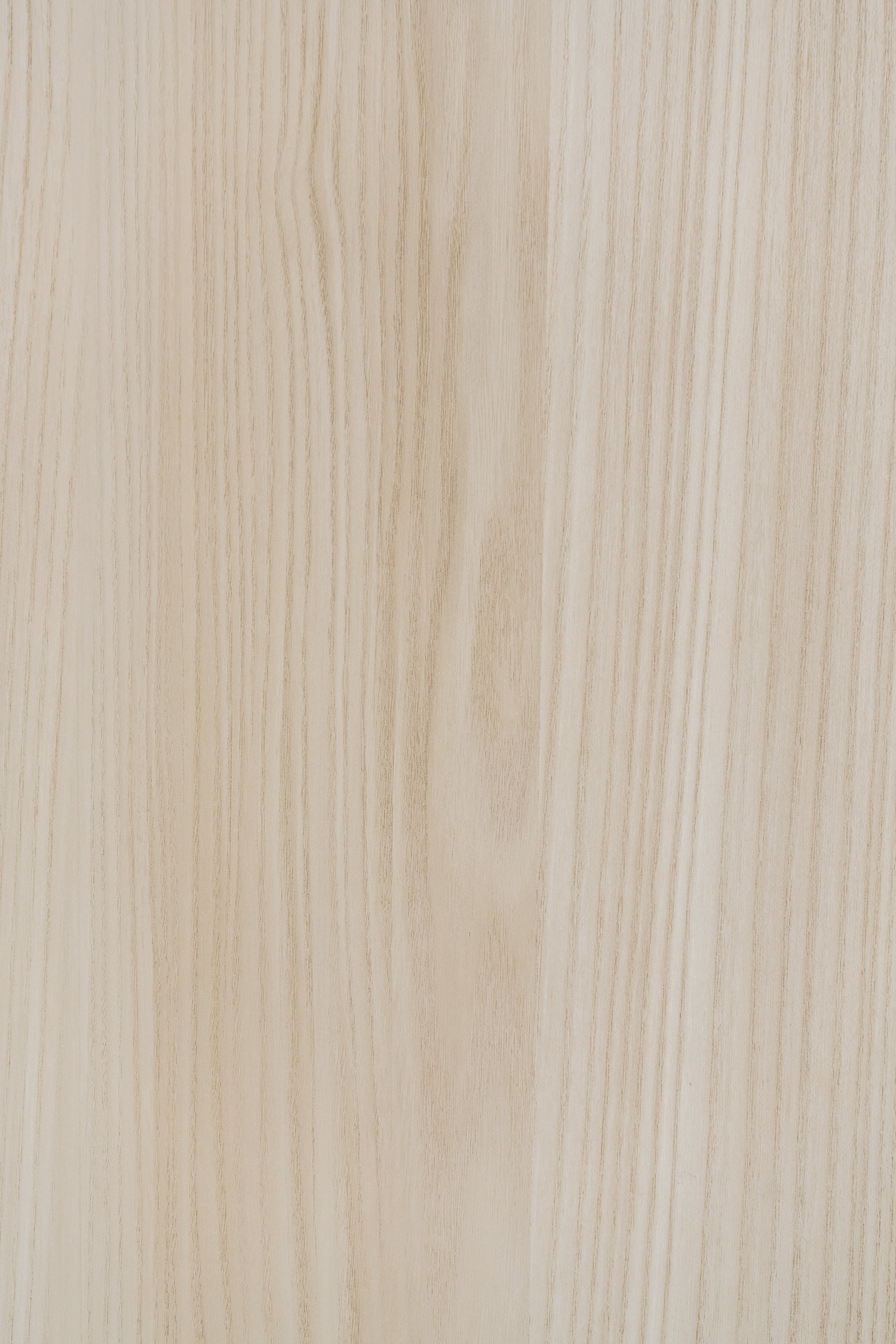 WDY-01-Detail.jpg