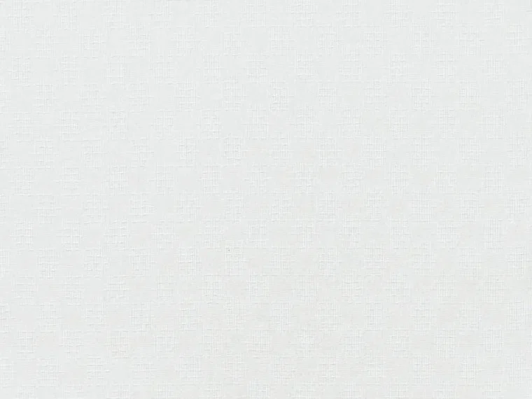 Petunia FP028001 - Blanc