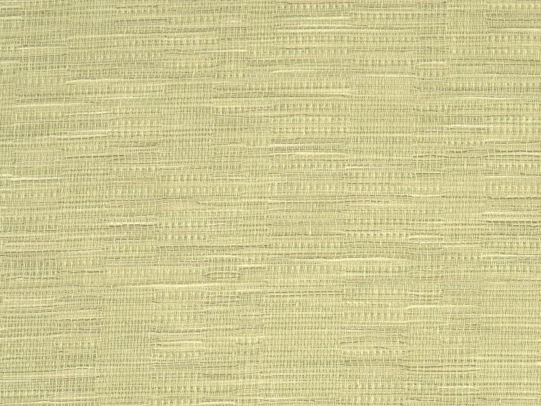 Sofia FP863013 - Citrus