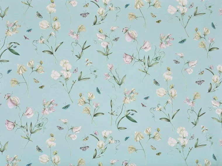 Les Pois De Senteur FP087001 - Ciel