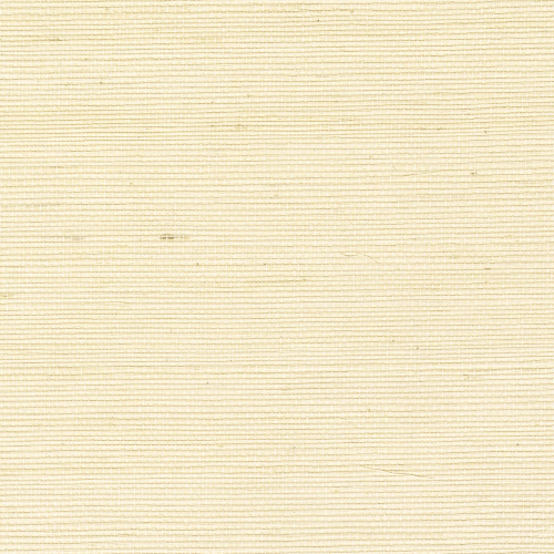 cmo-wsi-01-02-sisal-mural-2.png