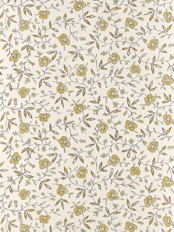 Marigold BP363002 - Cumin