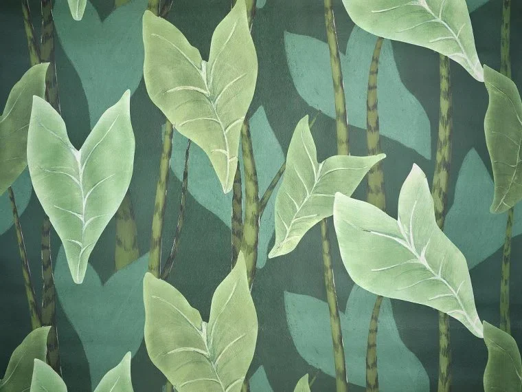 Monstera FP092002 - Jungle