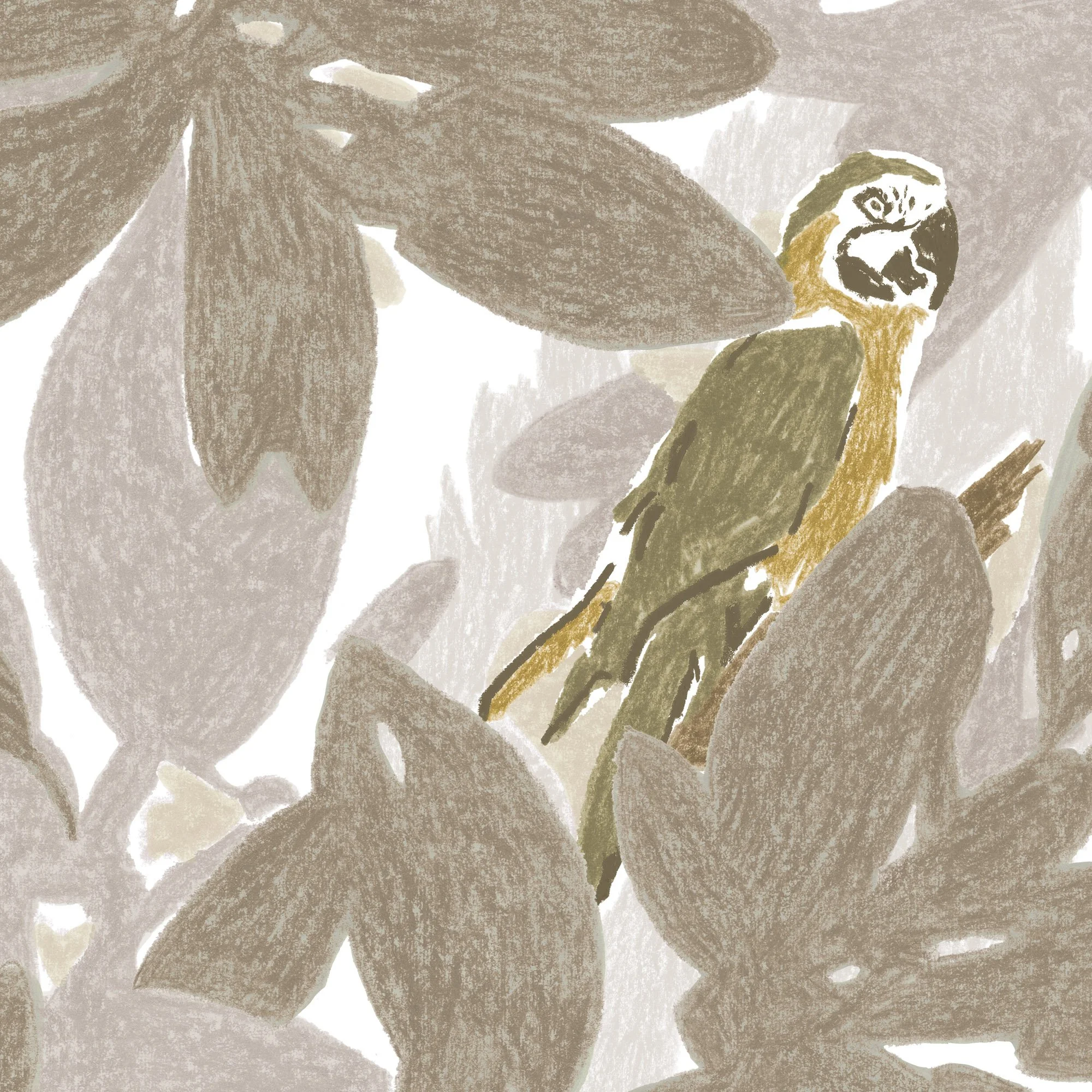 tropic.day-crop.jpg