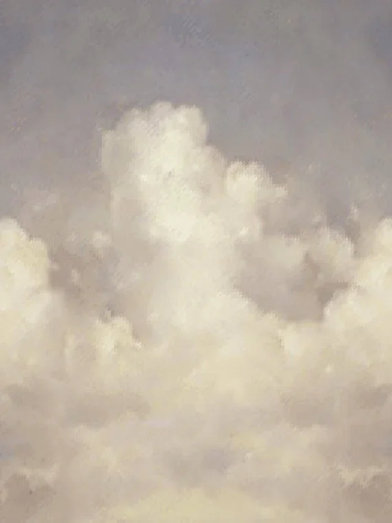 Nubem FP424001 - Nubem