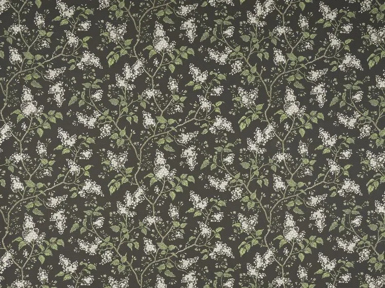 Les Lilas BP354004 - Terre