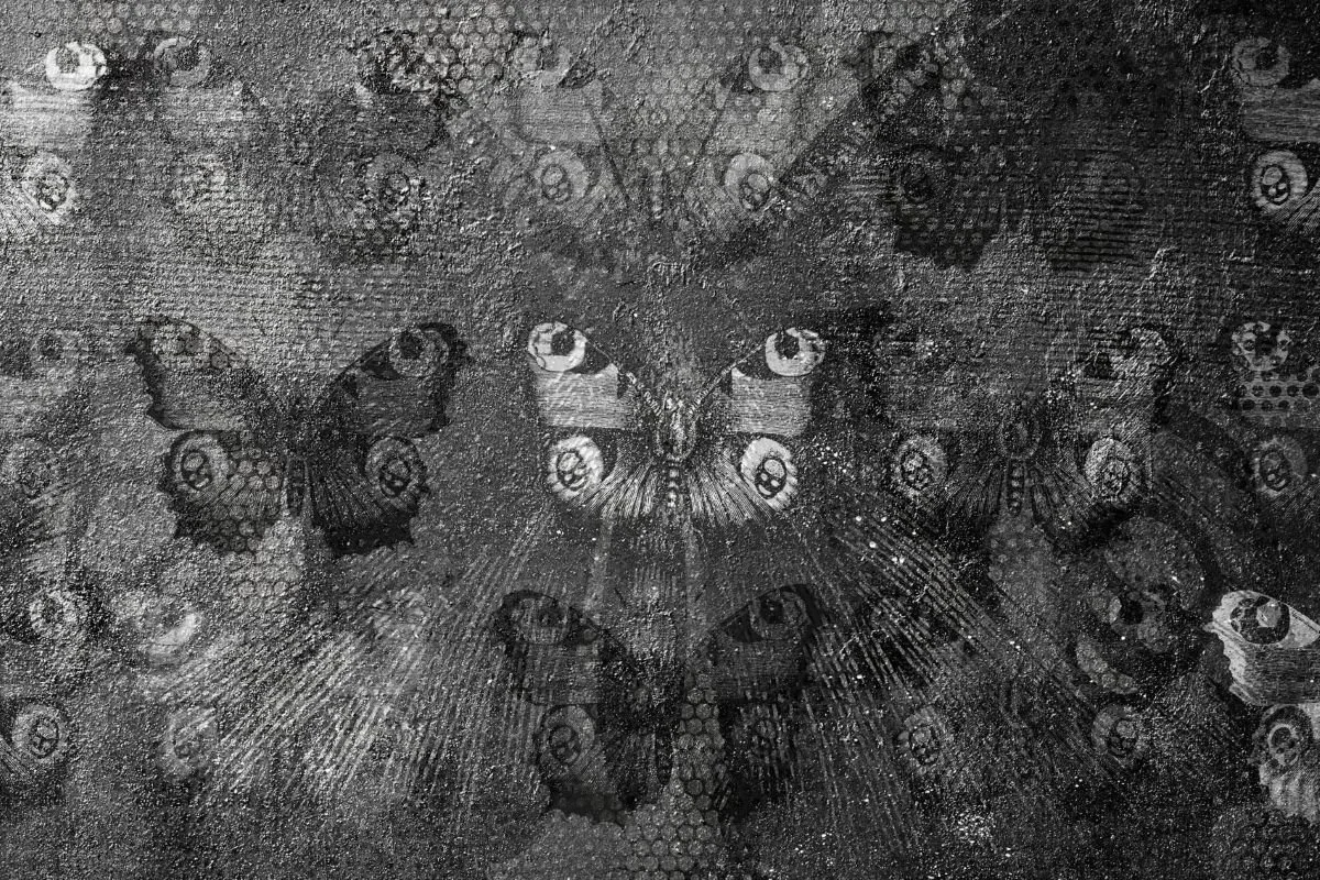 The Butterfly 01