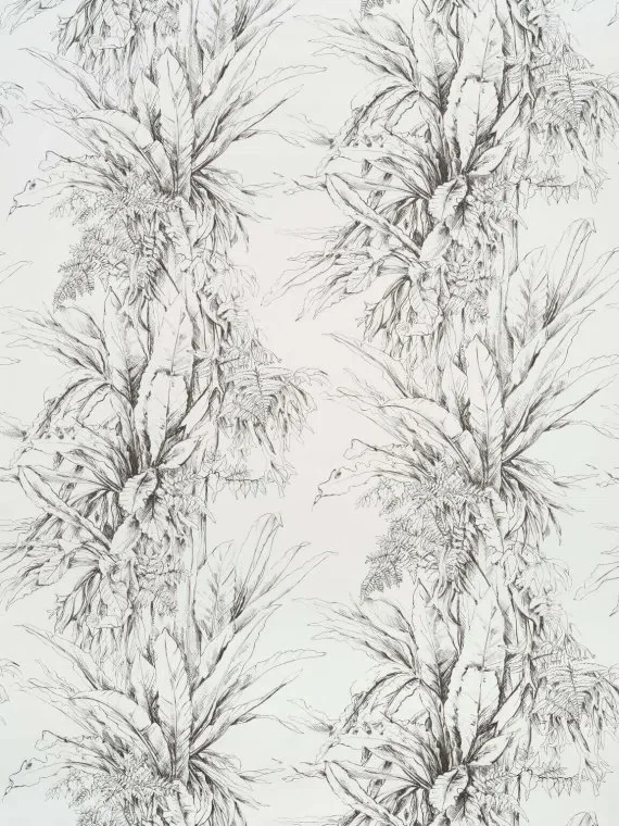 Jalapao FP549001 - Fusain