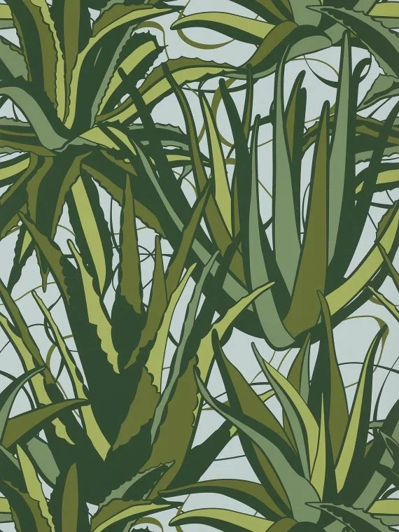 Agaves FP785002 - Tropical