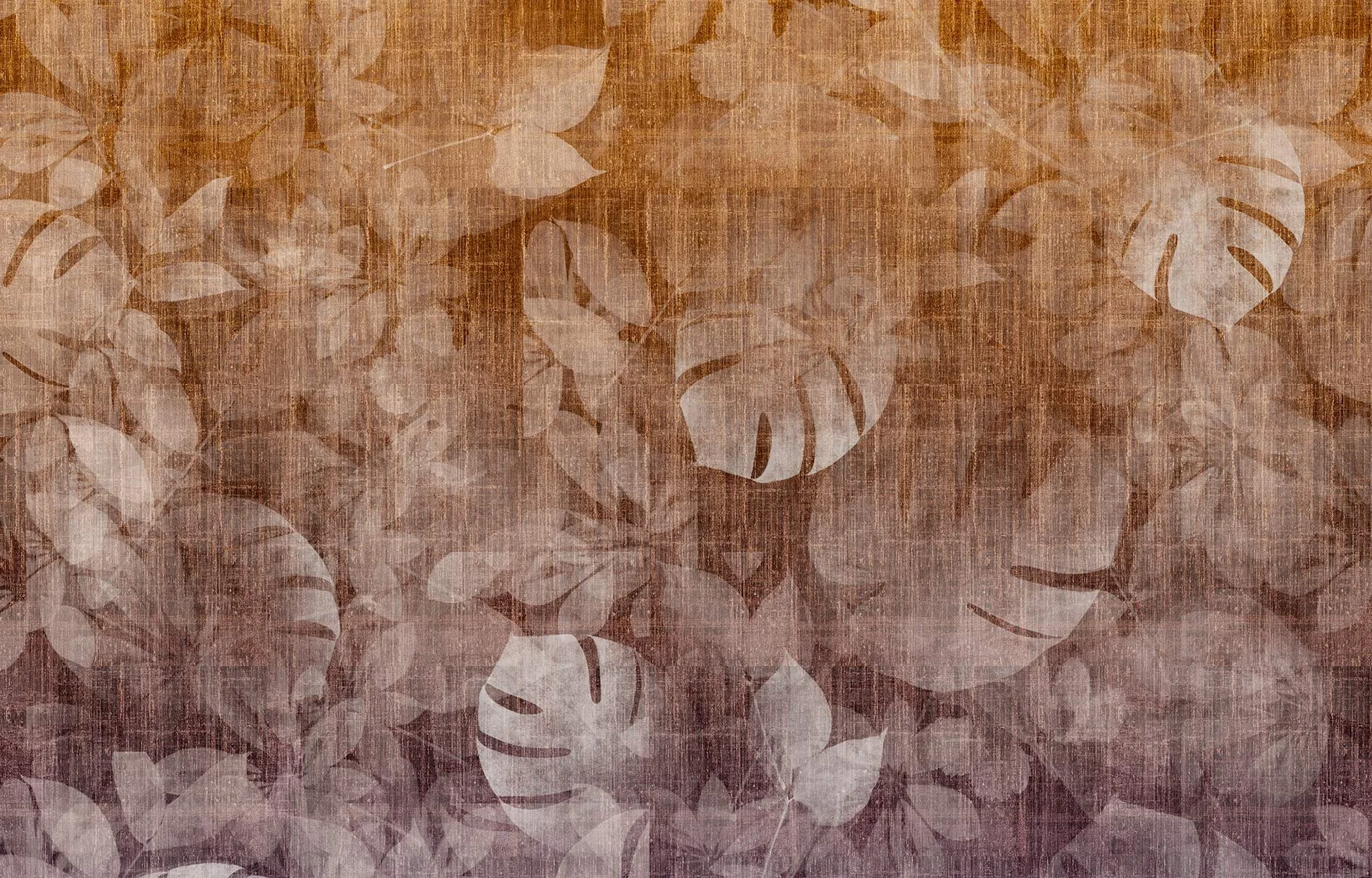 Transition Tropic ID 1005