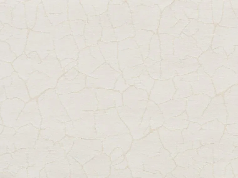 Atacama ii FP470003 - Neige