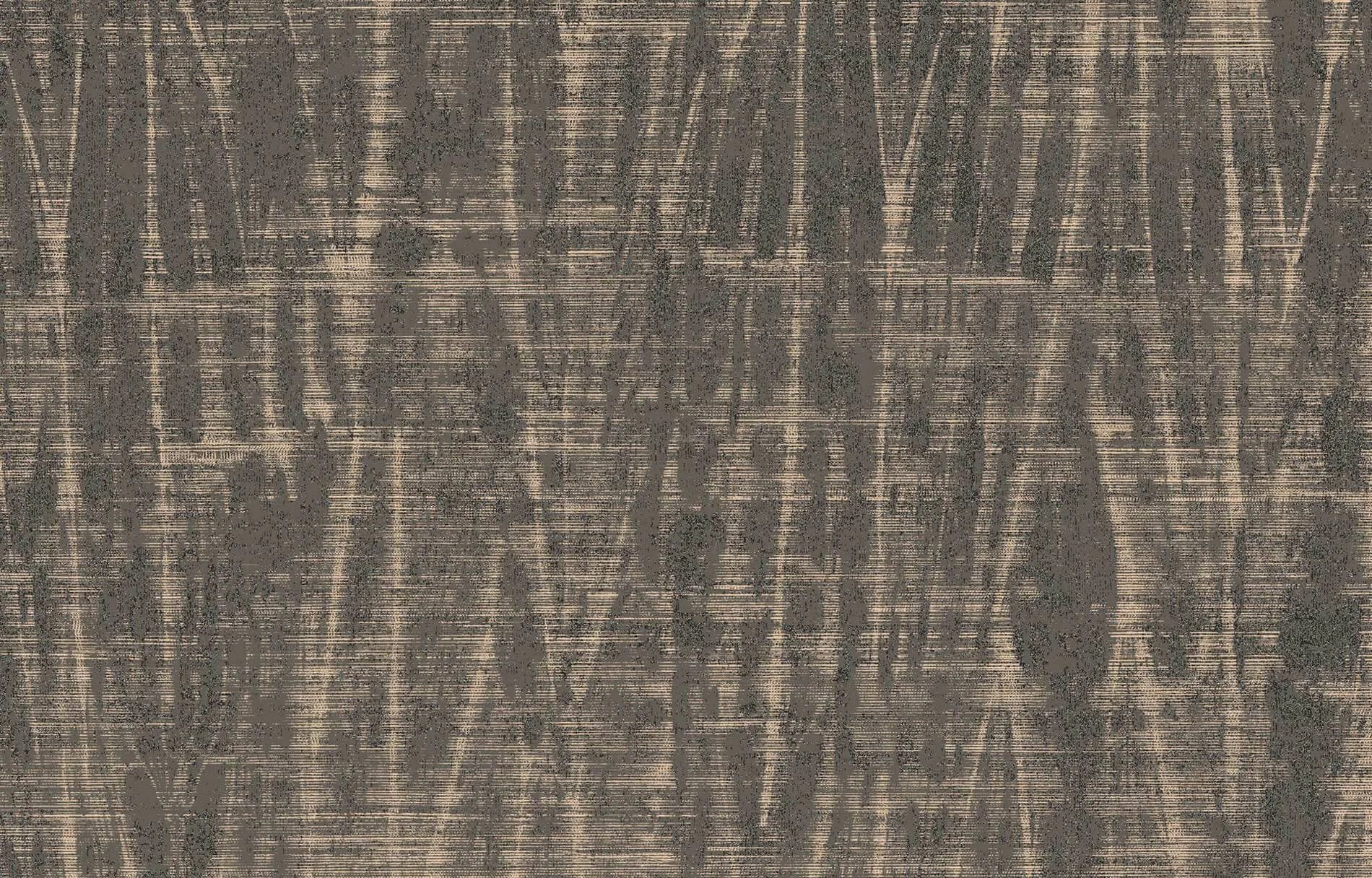 Spiga  Lx 608