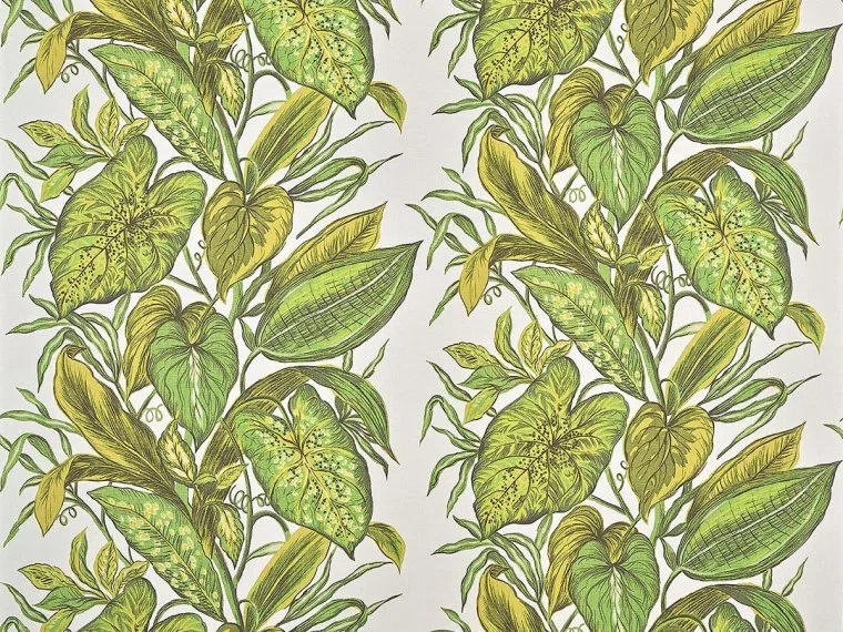 Nassau FP102002 - Jungle