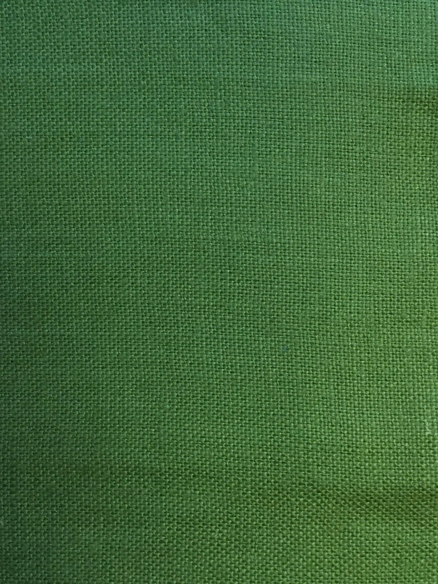Trinidad Olive 9744