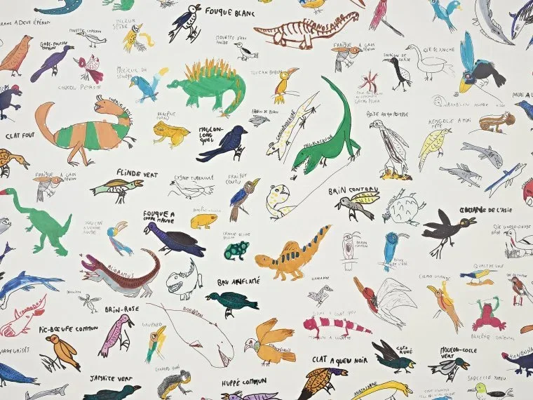 Encyclopedie FP818001 - Multicolore