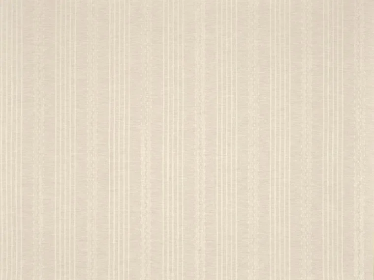 Nil FP116001 - Coquillage