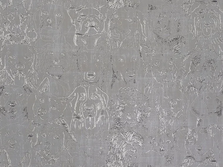 Designer dogs FP804003 - Corde