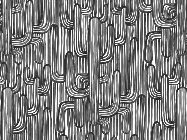 Sonora FP479001 - Fusain