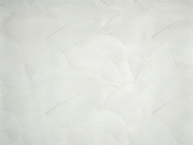 Salinas FP962001 - Sel