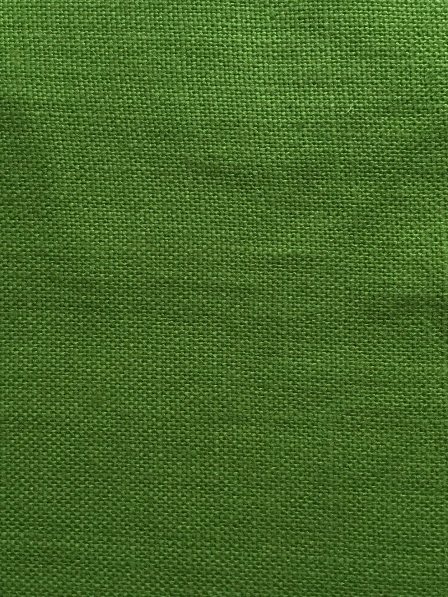 Trinidad Moss Green 4032