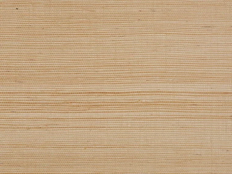 Colomba FP391001 - Coquillage