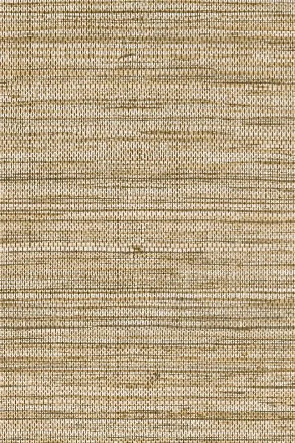 Pampas_Sombra_73543_Packshot_Web_LR-thumb-two-thirds.jpg