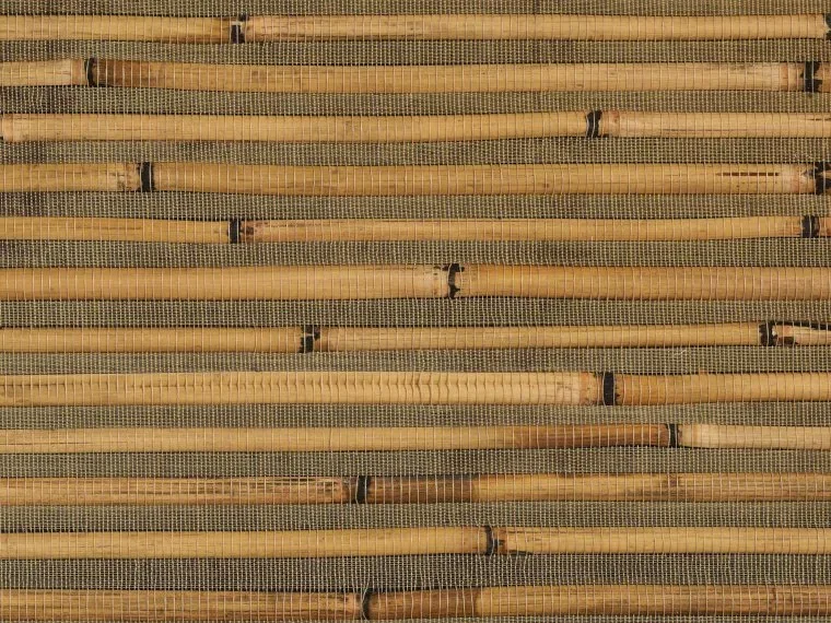 Eridan FP379001 - Or