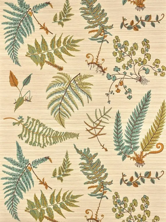 Botanique FP084001 - Automne