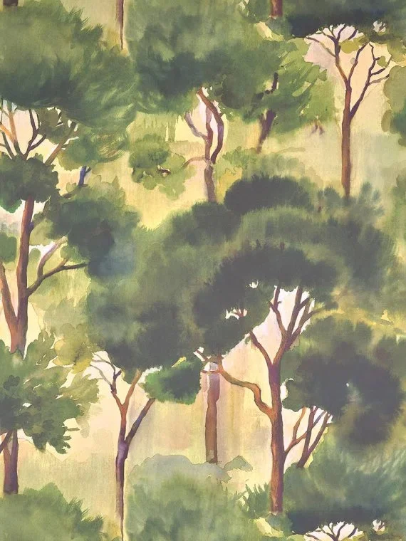 Ferret FP086002 - Ete