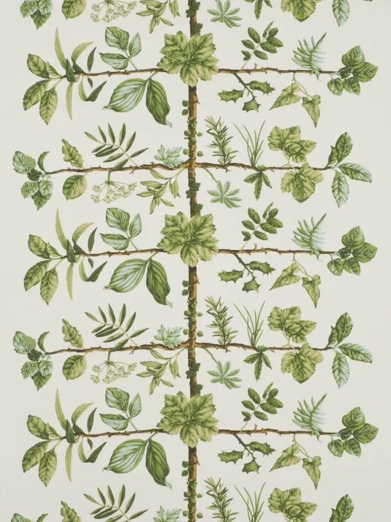 Wallpaper Espalier FP169002 - Foin